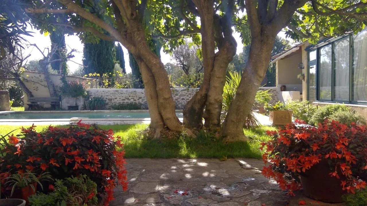 Sous Le Figuier... Apartment Buisson 0*,  France