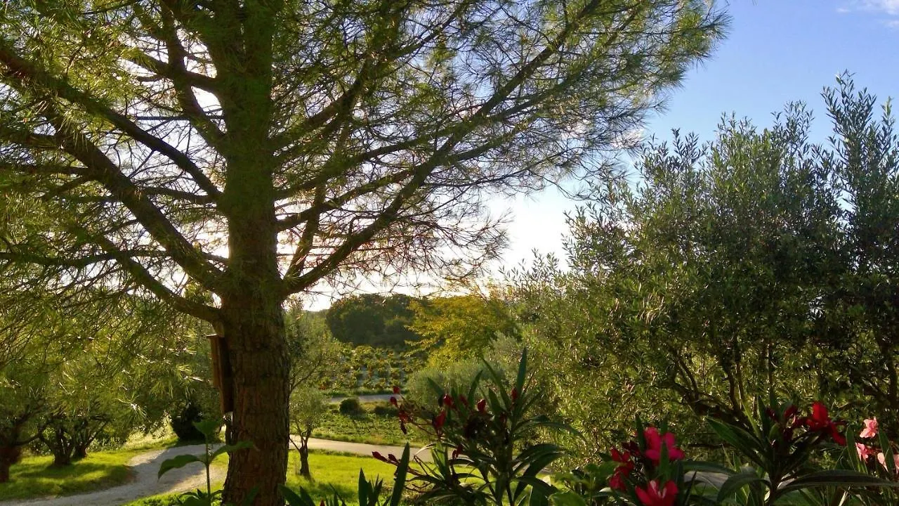 Sous Le Figuier... Apartment Buisson